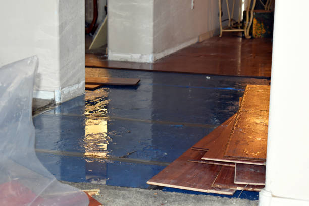 Professional Structural Drying technician working in Island Park, NY